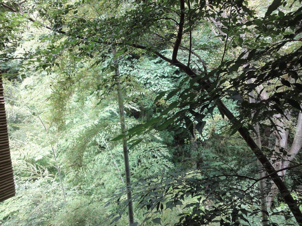 Ryokan Kiritani Hakoneso Buitenkant foto